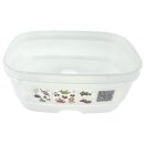 Tupperware Klimaoase Prima Klima 375  ml limette NEU
