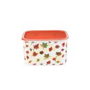 Tupperware Dose Quadro 1,3  l Herbst tolles Herbstmotiv Jahreszeiten Frau Haare NEU