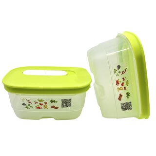 Tupperware Klimaoase limette 375 ml Prima Klima 2-er Set NEU