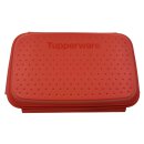 Tupperware Flip & Shake Schüttelparty panieren marinieren Fleisch Fisch NEU