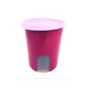 Tupperware kleine Durchblick pink/ rose 1,25 l...