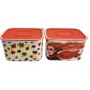 Tupperware Set 2 x Dose Quadro 1,3  l Herbst tolles Herbstmotiv Jahreszeiten Frau Haare NEU