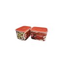 Tupperware Set 2 x Dose Quadro 1,3  l Herbst tolles Herbstmotiv Jahreszeiten Frau Haare NEU