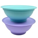 Tupperware Set Allegra Schüssel 275 ml  2 x  lila / mint Dessertschüssel Servierschalen Schale Eleganz Vorspeisen Beilagen NEU
