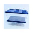 Tupperware Set Clear Mates 1,6 + 2,5 l blau  transparent Kühlschrankbehälter Vorratsbehälter NEU