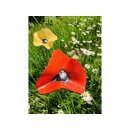 Keramikblume HANDMADE D 10-12 cm rot mit Metallstab rostfrei getöpfert Blüten Garten Deko Stecker Geschenk