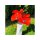 Keramikblume HANDMADE D 10-12 cm rot mit Metallstab rostfrei getöpfert Blüten Blumenwiese